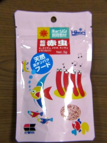 エサ クロナガアリの場合 Shigeの蟻飼育