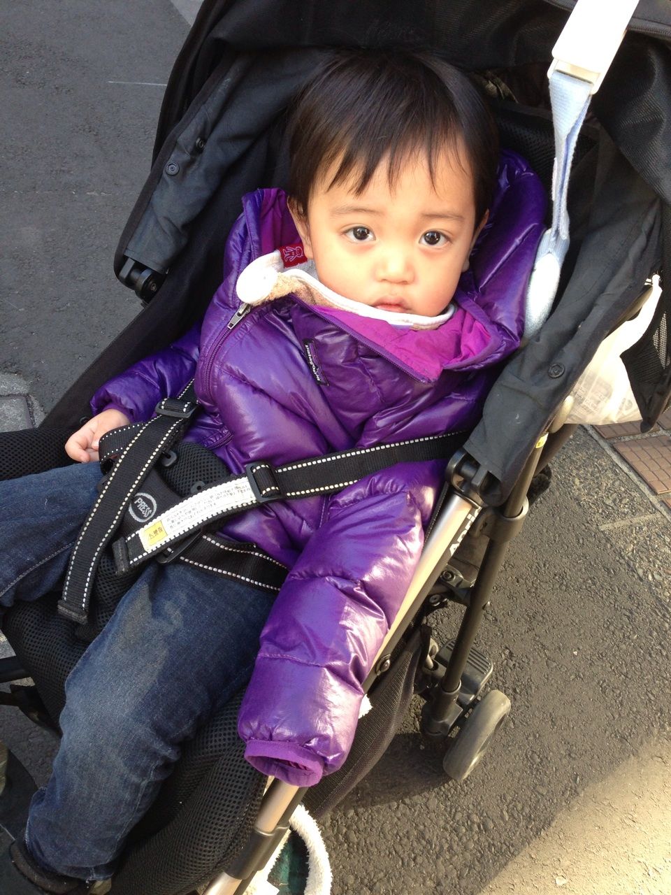 上野動物園とトーマス 康ちゃんの一日 上野動物園とトーマス 康ちゃんの一日