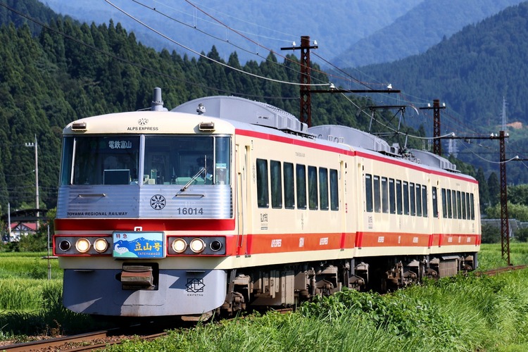 富士山 富山地方鉄道16010形「アルプスエキスプレス」 ボディ・床板・表記類3