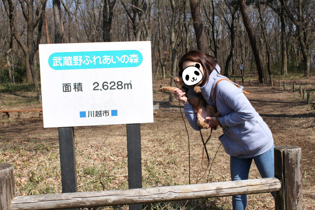 川越市森林公園 森のさんぽ道 と鎌北湖 犬連れおでかけ あんずの休日