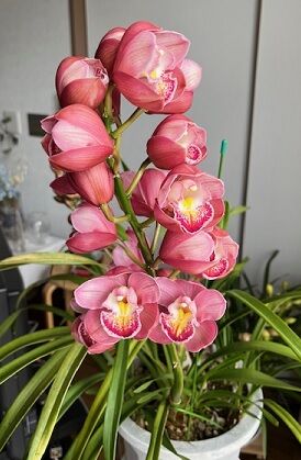 033