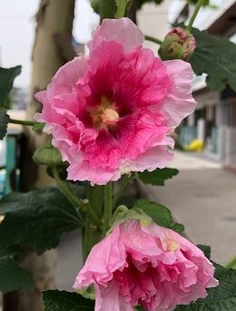 018