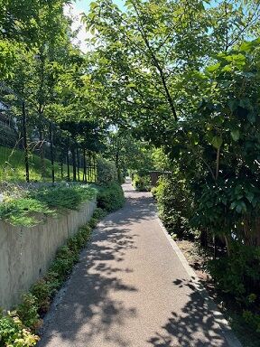 IMG_1584