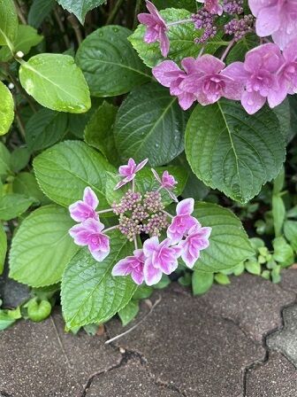 IMG_3399