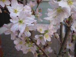 011