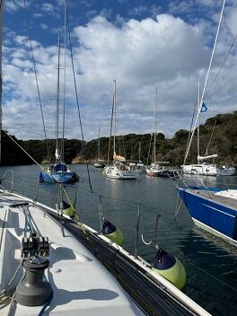 IMG_6623