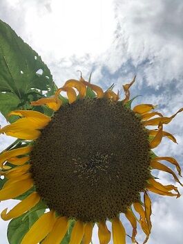 IMG_4396