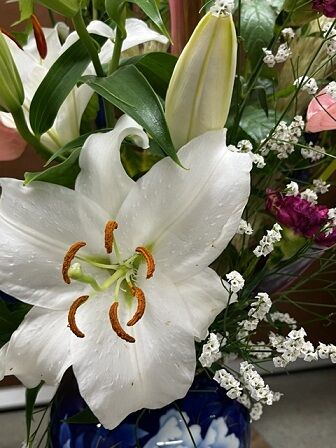 IMG_3583
