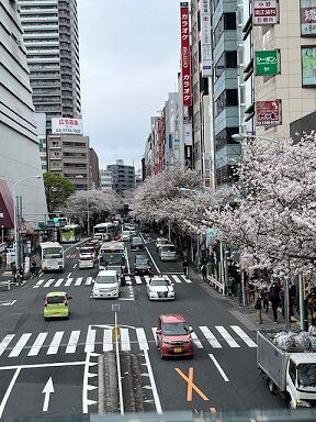 IMG_8490