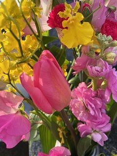 IMG_8159