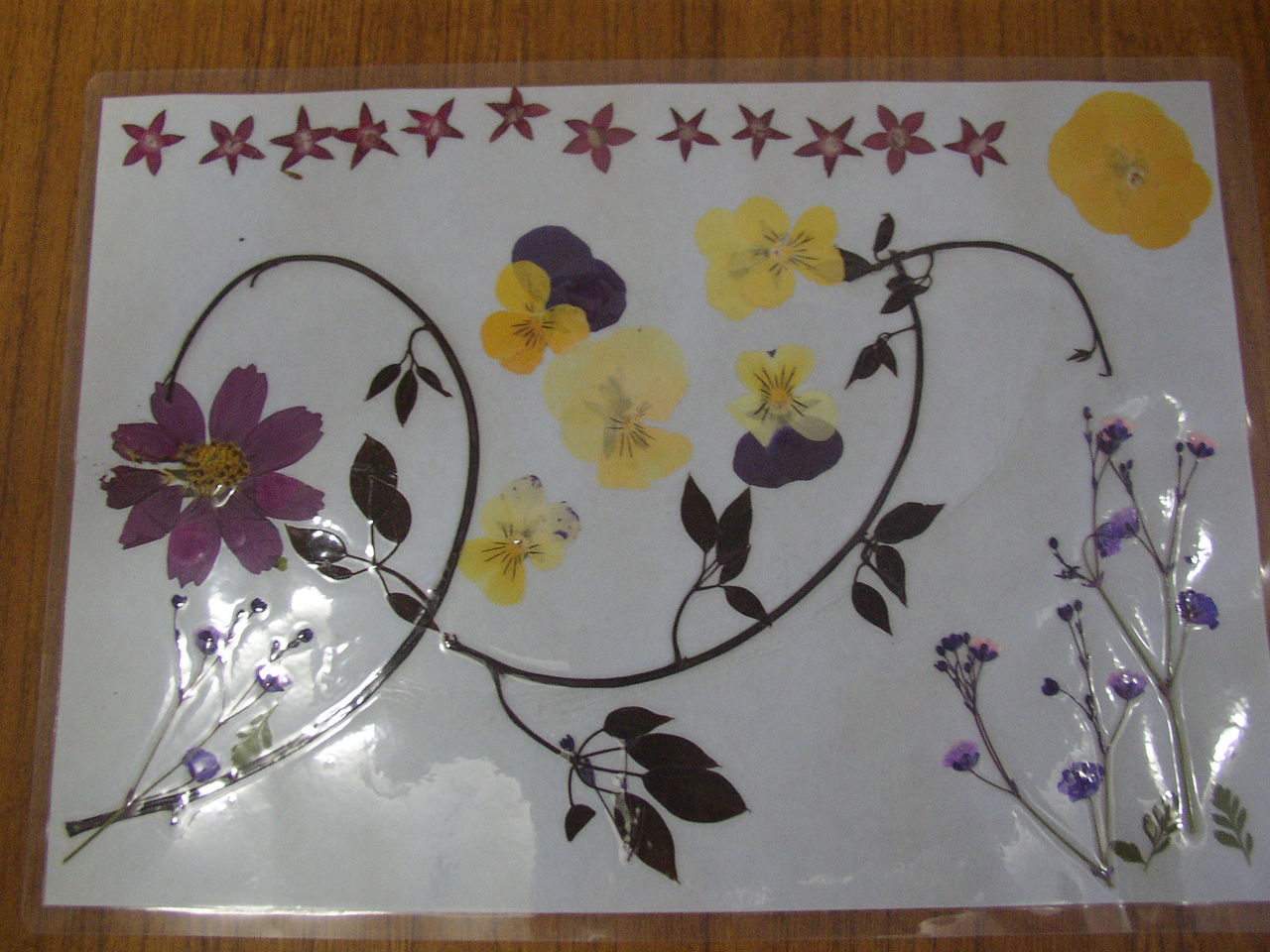 押し花作品集 ９ ５ まちのえき かめや