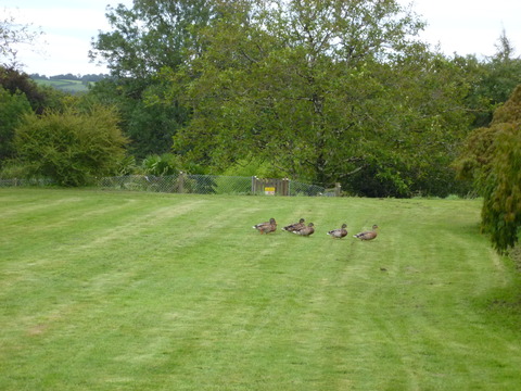 2012-09-16 lumix 173