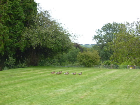 2012-09-16 lumix 172