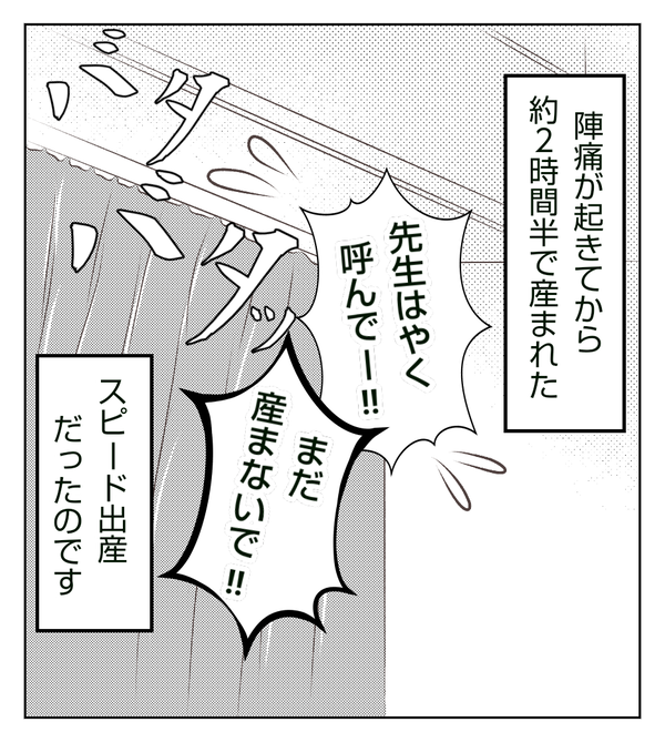 無題2263