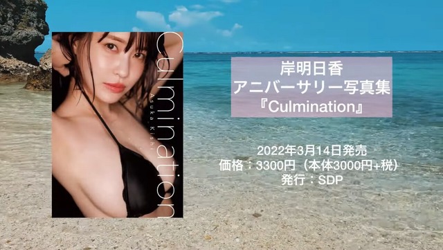 岸明日香アニバーサリー写真集「Culmination」 (6)