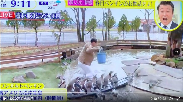 日テレ「スッキリ」春日と加藤が炎上