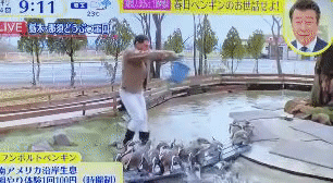 日テレ「スッキリ」春日と加藤が炎上
