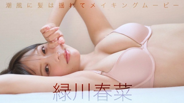 緑川春菜 週刊プレイボーイ 水着グラビア