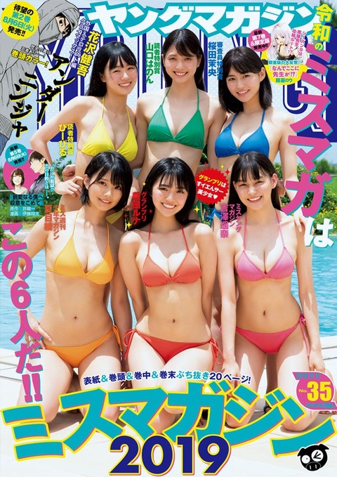 豊田ルナヤンマガ水着グラビア