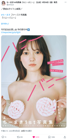ちーまき1st写真集『ハニーバニー』全裸表紙