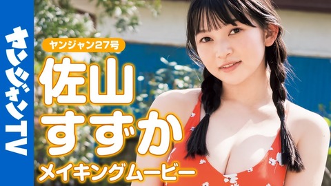 佐山すずかヤンジャン水着グラビア