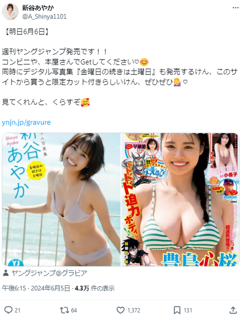 新谷あやかヤンジャン水着グラビア