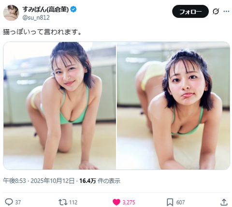 【画像】バスケ女子の水着グラビア、エッチすぎるwwwwwwwすみぽん、“猫っぽい”セクシーおっぱいショットでファンを悩殺！！！