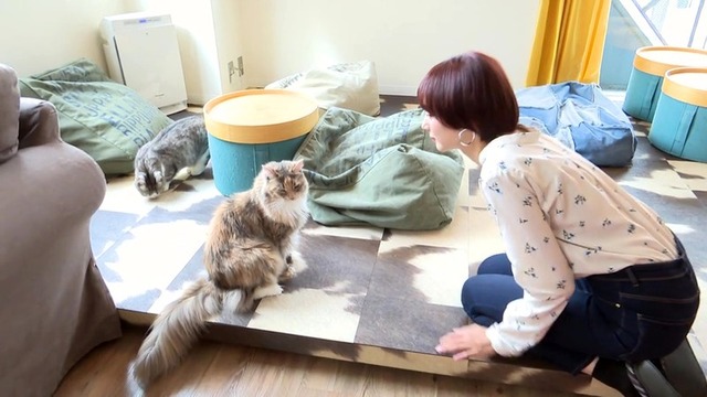 岡田紗佳Gカップ水着グラビアDVD「Secret trip」