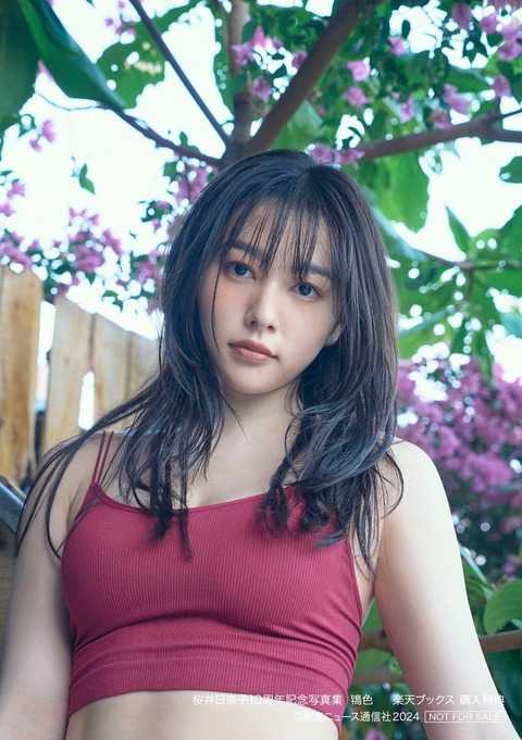 桜井日奈子10周年記念写真集「鴇色」2