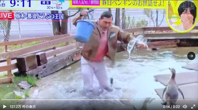日テレ「スッキリ」春日と加藤が炎上