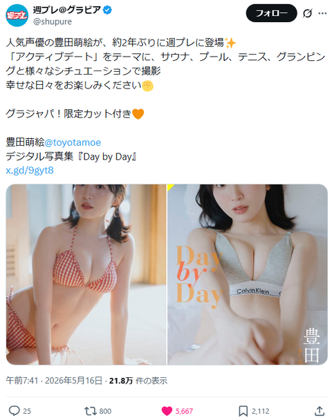 豊田萌絵「週刊プレイボーイ」水着グラビア