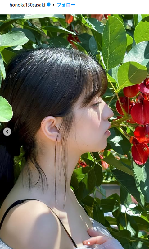 佐々木ほのかヤングガンガン水着グラビア