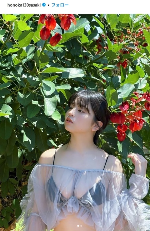 佐々木ほのかヤングガンガン水着グラビア