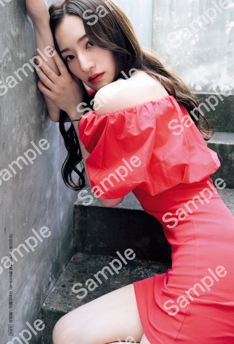 中田花奈 2nd写真集「掻き立てる」2