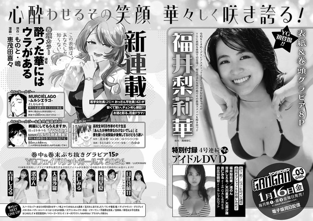 福井梨莉華ヤングガンガン水着グラビア