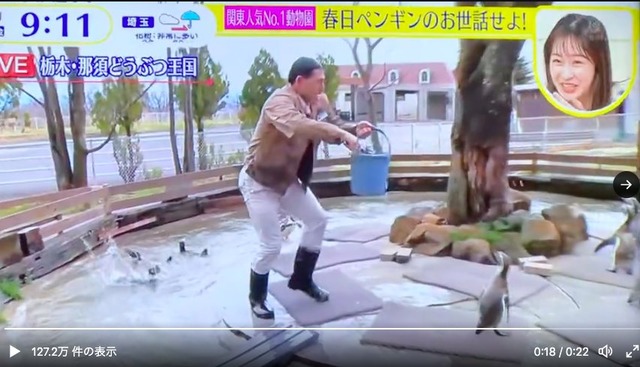 日テレ「スッキリ」春日と加藤が炎上