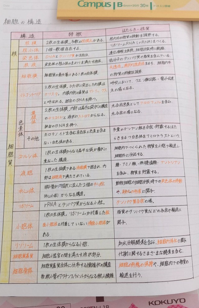 紀野紗良かわいい