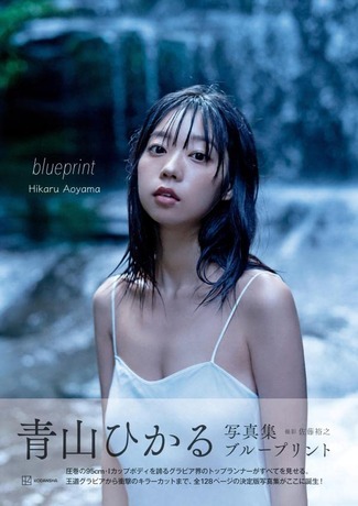 青山ひかる写真集 blueprint