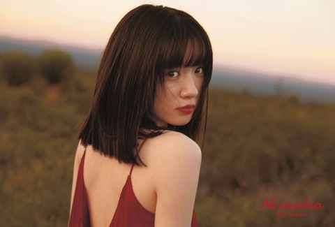 永野芽郁2nd写真集「No cambia」