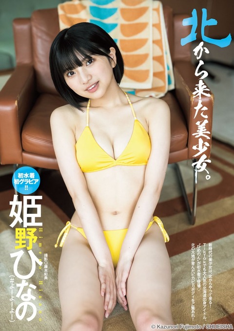 姫野ひなのヤンジャン初水着グラビア