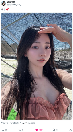 藤本沙羅ビキニ水着姿
