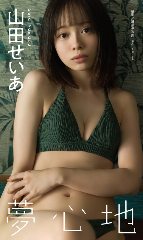 山田せいあ週プレ水着グラビア2