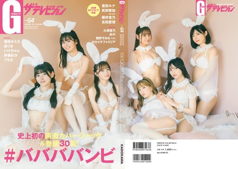 グラビアザテレビジョン vol.64