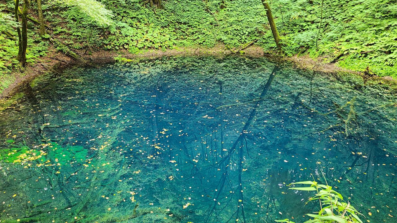 青森県【十二湖 青池・深浦町】 : 青葉のみちのく1人旅記録
