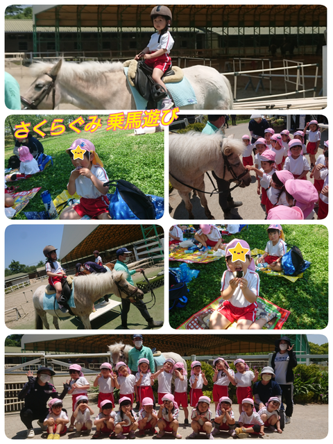 24さくら乗馬