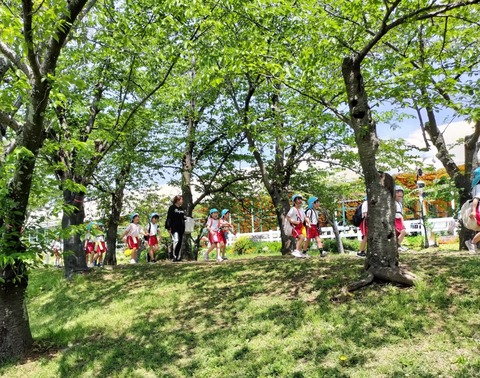 IMG20260428112303~2