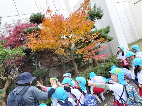 IMG20251202124258