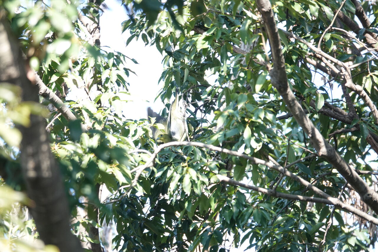 DSC07860