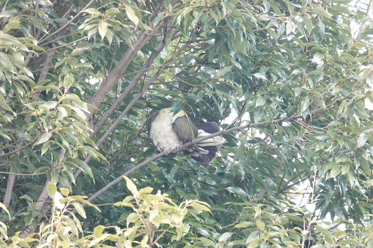 DSC08260