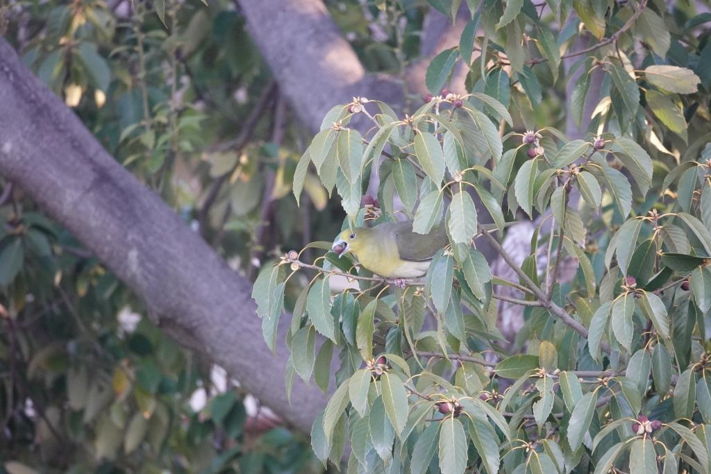 DSC07476